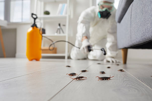 Commercial Kitchen Cockroach Control in Fern Acres